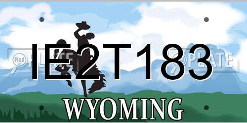 IE2T183 Wyoming License Plate