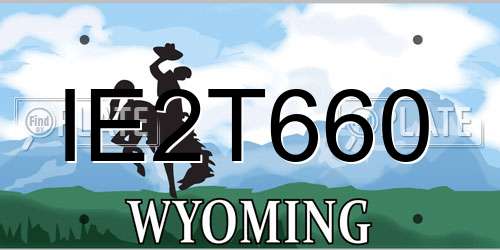 IE2T660 Wyoming License Plate