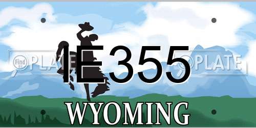 IE355 Wyoming License Plate