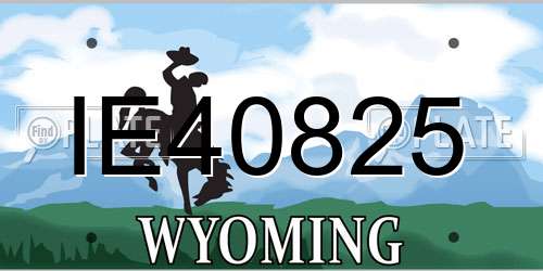 IE40825 Wyoming License Plate
