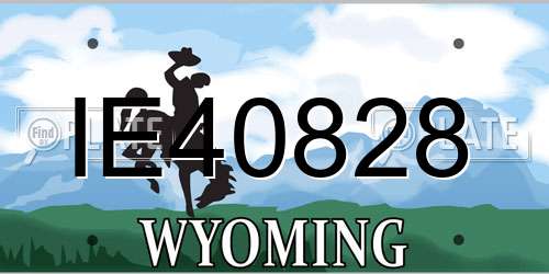 IE40828 Wyoming License Plate