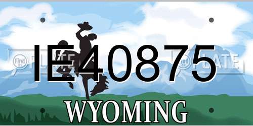 IE40875 Wyoming License Plate