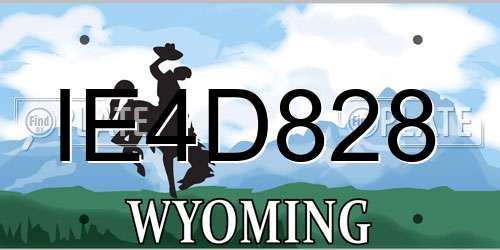 IE4D828 Wyoming License Plate