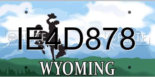 IE4D878 Wyoming License Plate