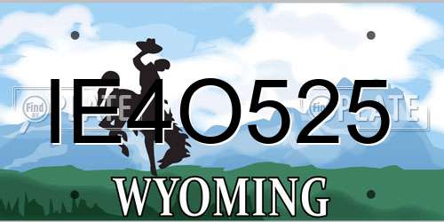 IE4O525 Wyoming License Plate