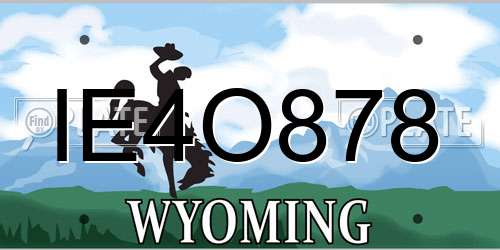 IE4O878 Wyoming License Plate