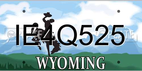 IE4Q525 Wyoming License Plate