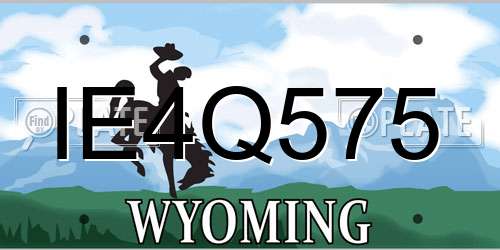 IE4Q575 Wyoming License Plate