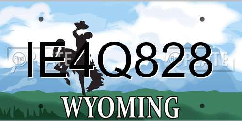 IE4Q828 Wyoming License Plate