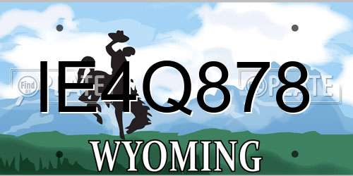 IE4Q878 Wyoming License Plate