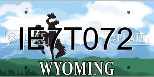 IE7T072 Wyoming License Plate