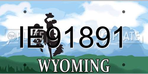 IE91891 Wyoming License Plate