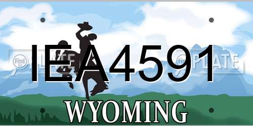IEA4591 Wyoming License Plate