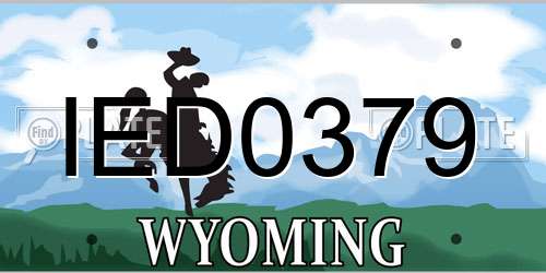 IED0379 Wyoming License Plate