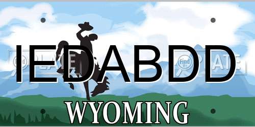 IEDABDD Wyoming License Plate