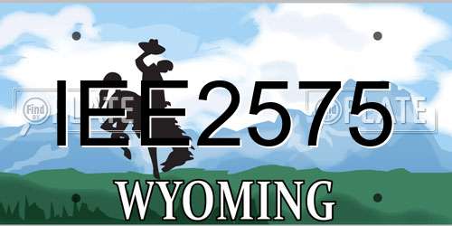 IEE2575 Wyoming License Plate