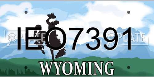 IEO7391 Wyoming License Plate