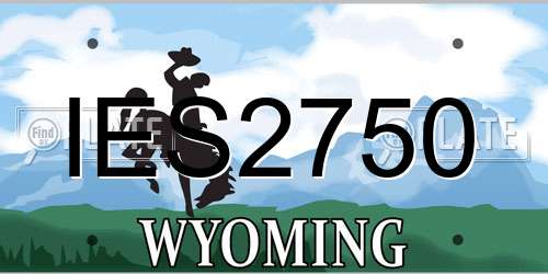 IES2750 Wyoming License Plate