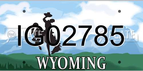 IG02785 Wyoming License Plate