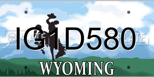 IG1D580 Wyoming License Plate
