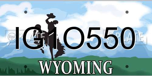 IG1O550 Wyoming License Plate