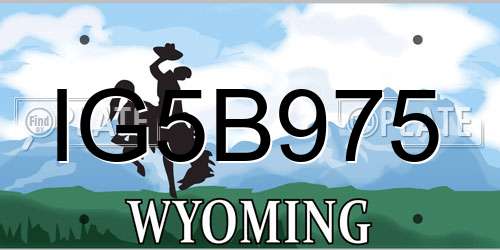 IG5B975 Wyoming License Plate