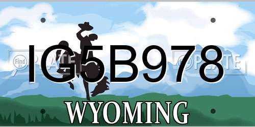 IG5B978 Wyoming License Plate