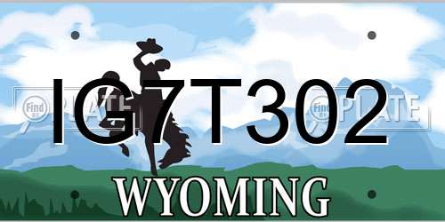 IG7T302 Wyoming License Plate