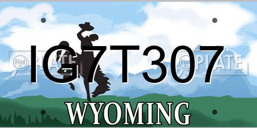IG7T307 Wyoming License Plate