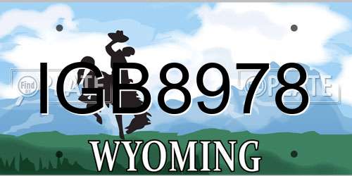 IGB8978 Wyoming License Plate