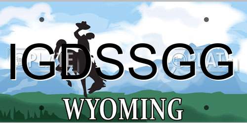 IGDSSGG Wyoming License Plate