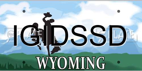 IGIDSSD Wyoming License Plate