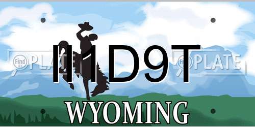 II1D9T Wyoming License Plate