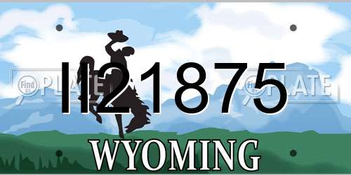 II21875 Wyoming License Plate
