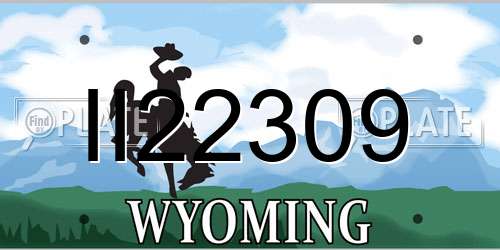 II22309 Wyoming License Plate