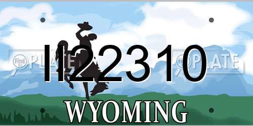 II22310 Wyoming License Plate