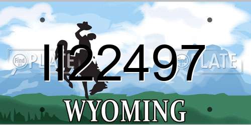 II22497 Wyoming License Plate