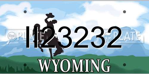 II23232 Wyoming License Plate
