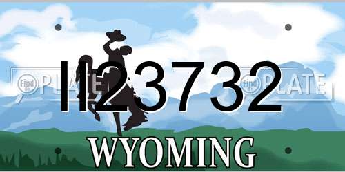 II23732 Wyoming License Plate