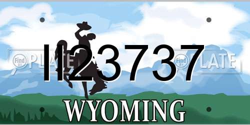 II23737 Wyoming License Plate