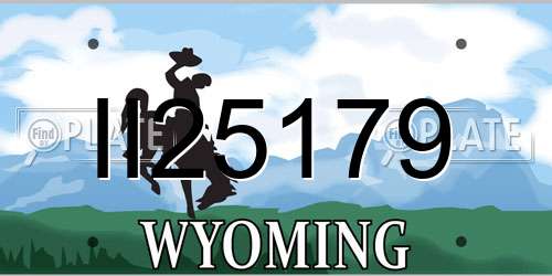 II25179 Wyoming License Plate