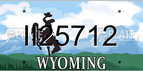II25712 Wyoming License Plate
