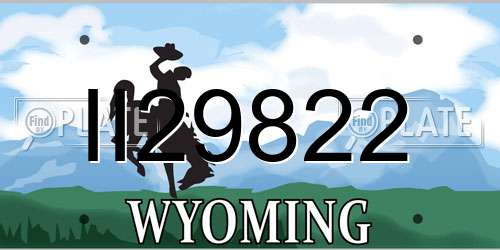 II29822 Wyoming License Plate
