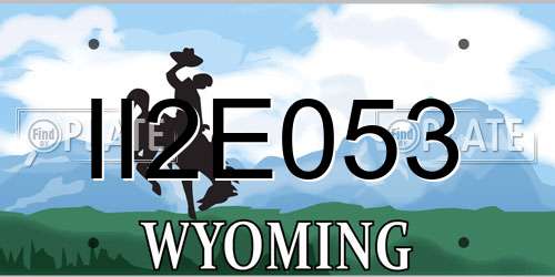 II2E053 Wyoming License Plate