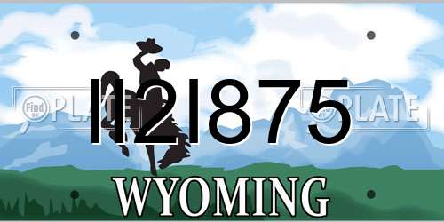 II2I875 Wyoming License Plate