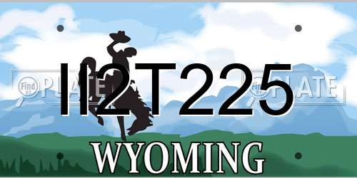 II2T225 Wyoming License Plate