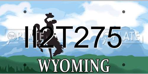 II2T275 Wyoming License Plate