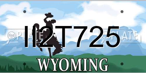 II2T725 Wyoming License Plate