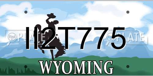 II2T775 Wyoming License Plate