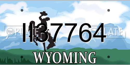 II37764 Wyoming License Plate